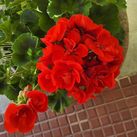 Corte Martinola Bed&Breakfast In Franciacorta Ome Exterior foto